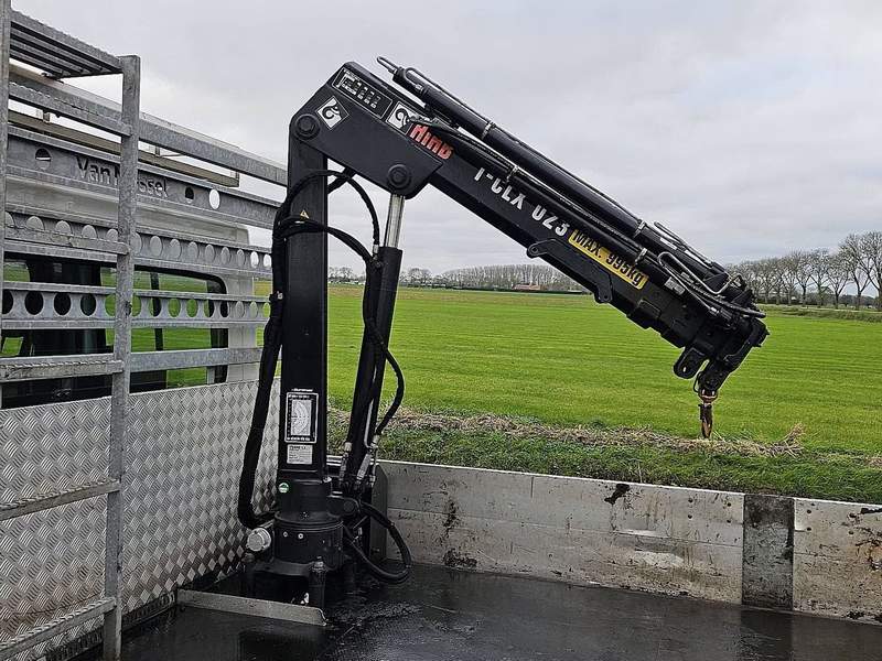 Opel Movano cu macara 3500kg roti duble categoria B - 2019 - 28.500 EUR - imagine 6